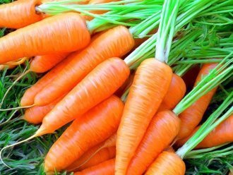 Лучшие озимые сорта моркови: посадка и уход