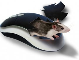 Какая мышь лучше - лазерная или оптическая?