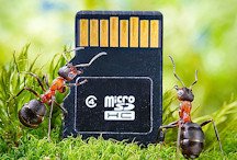 15 лучших карт памяти