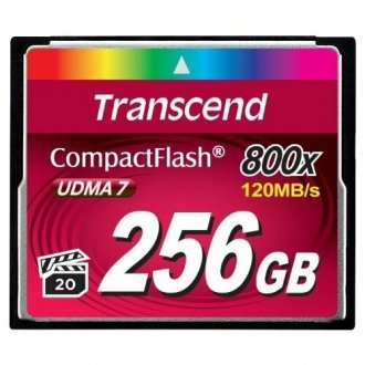 Transcend TS256GCF800