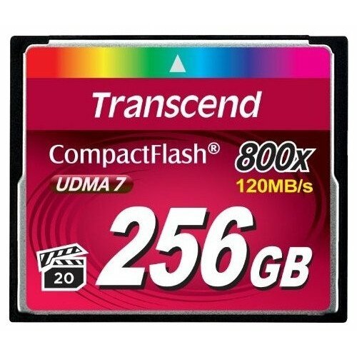 Transcend TS256GCF800