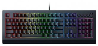 Razer Cynosa V2