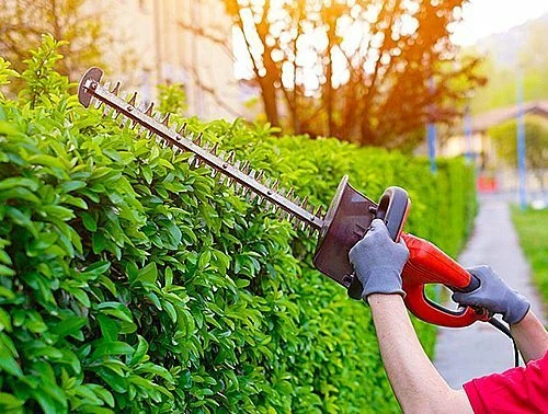 12 лучших кусторезов