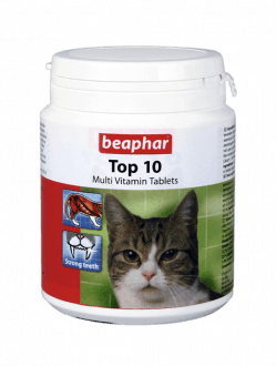 лучшие витамины для котов