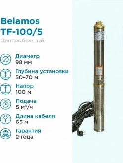 Насос BELAMOS TF-100