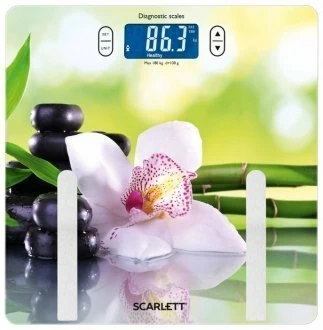 Scarlett SC-BS33ED10