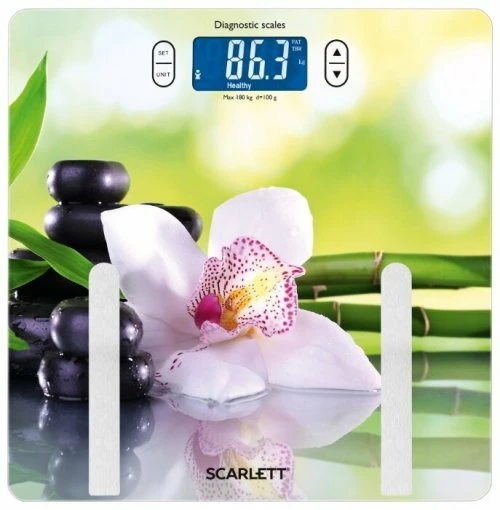 Scarlett SC-BS33ED10