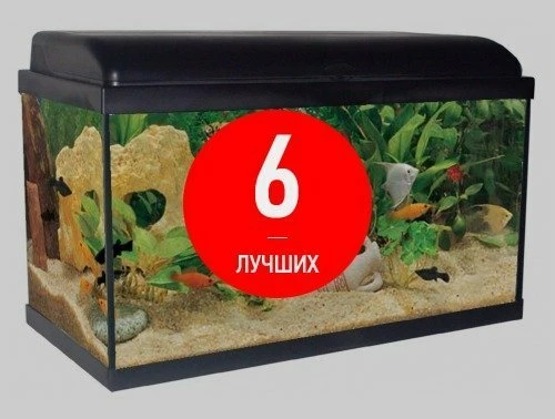6 лучших фильтров для аквариума