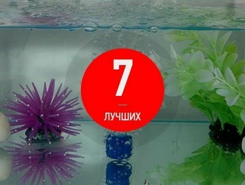 7 лучших компрессоров для аквариумов