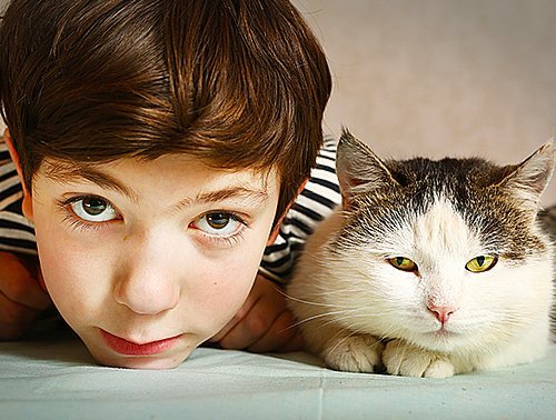 6 лучших пород кошек для детей