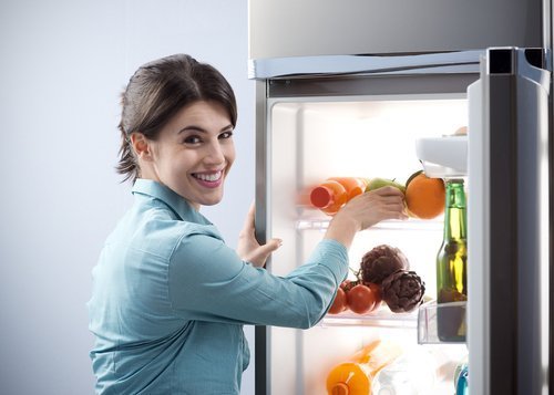 Холодильники No Frost: тихие и долговечные