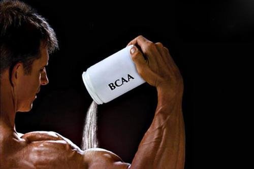 ТОП-10 лучших BCAA — рейтинг аминокислот