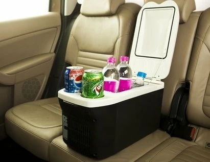 15 лучших автохолодильников