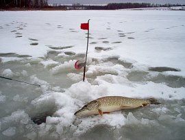 Лучшие товары для туризма, охоты, рыбалки