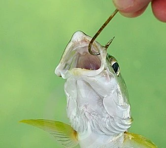 7 лучших рыболовных крючков