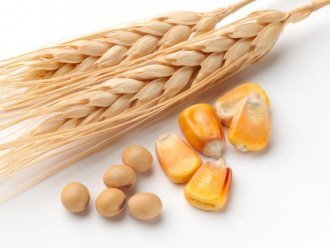 Микс из кукурузы и пшеницы