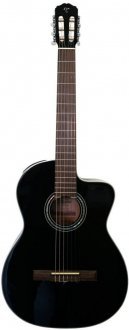 Takamine