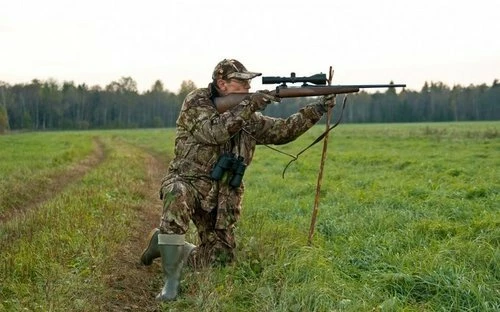 12 лучших оптических и коллиматорных прицелов