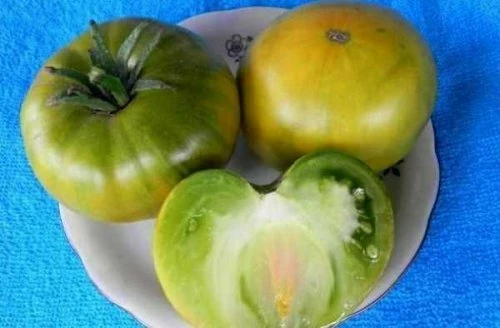 Малахитовая шкатулка (Россия, 2006)