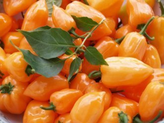 Хабанеро оранжевый (Habanero Orange)