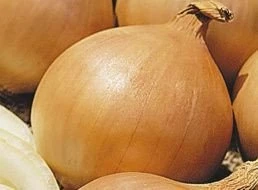 Золотничок (Россия)