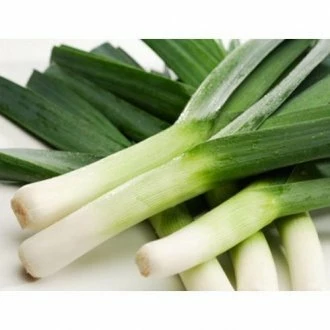 Форрест (Голландия, 2012)