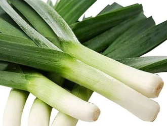 Голиаф (Голландия, 1997)