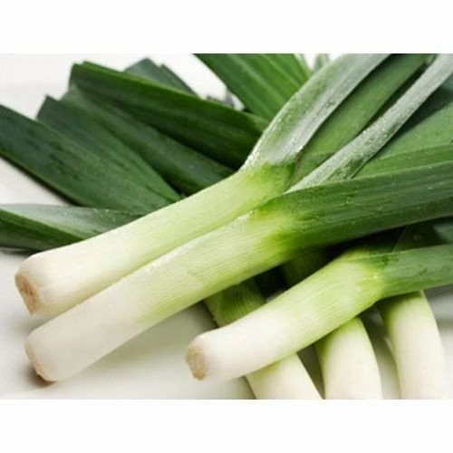 Форрест (Голландия, 2012)