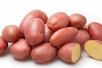 10 лучших сортов картофеля