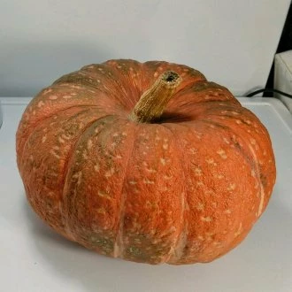 Мраморная (Россия, 1975)