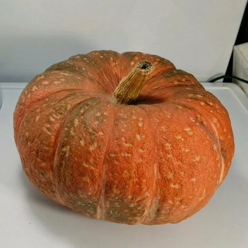 Мраморная (Россия, 1975)