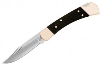 BUCK 110 Folding Hunter