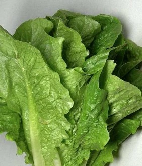 Денди (Россия, 2003)