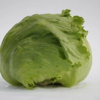 Таймс (Голландия, 2017)