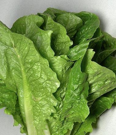 Денди (Россия, 2003)