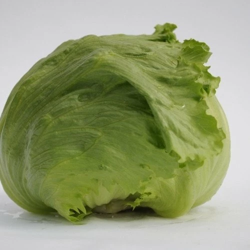 Таймс (Голландия, 2017)