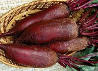 Цилиндра (Россия, 1998)