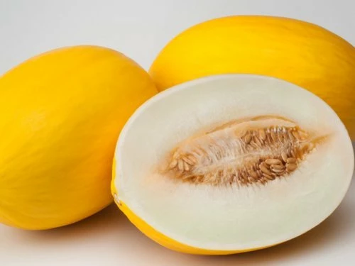 12 лучших сортов дыни