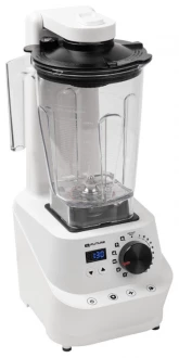 Стационарный блендер Rawmid Future RFB-02