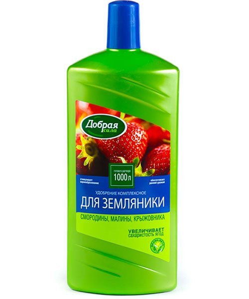 Добрая сила для клубники