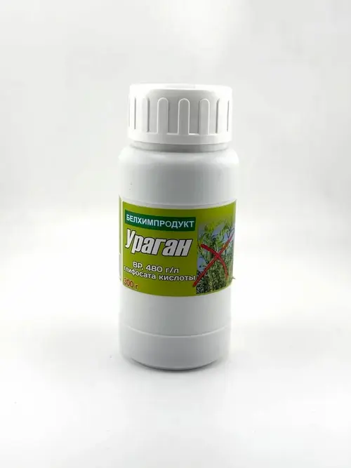 Ураган Форте