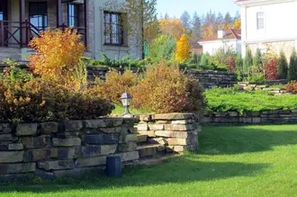 Овсяница Готье, Festuca gautieri