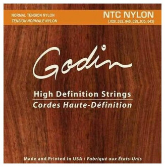 Godin 009350