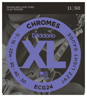 D'Addario ECG24