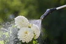 Фото 8 лучших  аккумуляторных опрыскивателей