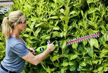 Фото 10 лучших  аккумуляторных кусторезов